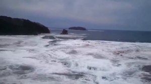 Цунами, Япония, Рыболовецкий порт Таконохама, город Мияко.