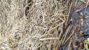 Наконец то открылся в этом сезоне))) 2025