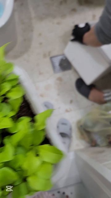 Как с экономить в Корее.  Огород дома