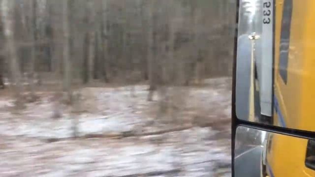 Американский дальнобойщик. Заповедник. Дорога. смотреть онлайн