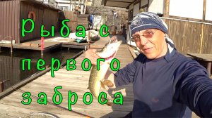 Один ЗАБРОС, одна РЫБА. Рыбалка с пристани. первого заброса.