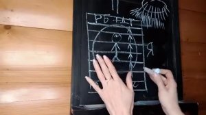 Про счастье и квантовый скачок. Автор Мария Васильева (канал Сад Огород и зимняя теплица)