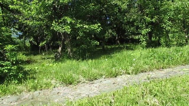 Не верить коль никому...