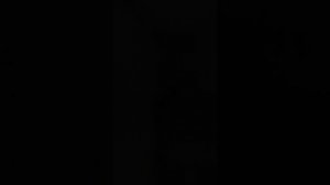 старый дом 1939.  реконструкция и восстановление.