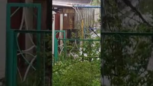 лебяжка . Волгоградская обл