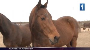 стрижка лошадей