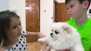 Miss Katy|Мисс Кэти Макс и Катя их истории про комнаты