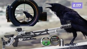 Стрельба из РСР. Тест пуль 0.68 против 0.87 гр.