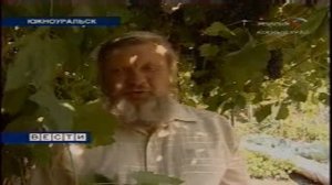 Виноградарь из Южноуральска