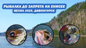 Рыбалка весной до запрета на Енисее. Тестирование материалов Sibnymph. Дивногорск