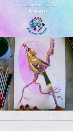Рисунок акварельными карандашами «Свиристель»
