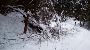 Лыжный сезон откатали