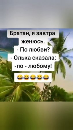 без комментариев
