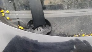 шляпа за 228р