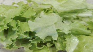 Салат с редисом и зеленым горошком