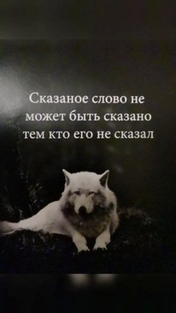 Ясность мыслей выражают слова. К сожалению не всегда.