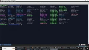 Linux Часть 1 Видео 5 Основные команды часть 1
