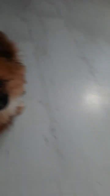 доброе утро смотреть онлайн