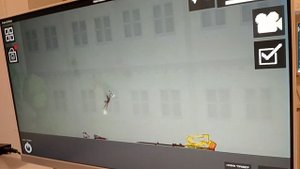 ещё шизарики