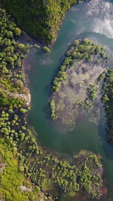 Montenegro Lake Scadar/ЧерногорияСкадарское #short#shorts смотреть онлайн