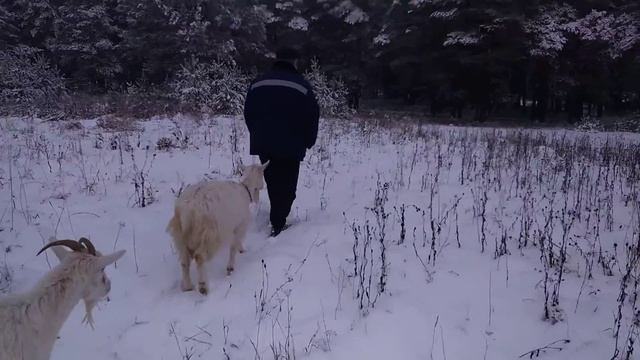 ДЕНЬ ЗА ДНЕМ. ПО ПЕРВОМУ СНЕЖКУ...