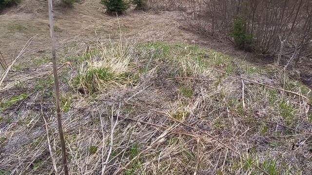 Холмы отдают металл.Металлокоп,как дополнительный доход в провинции. смотреть онлайн