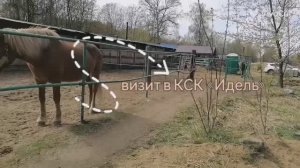 Идель визит_1745662553670_HD.mp4