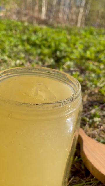 Белая Акация мёд смотреть онлайн