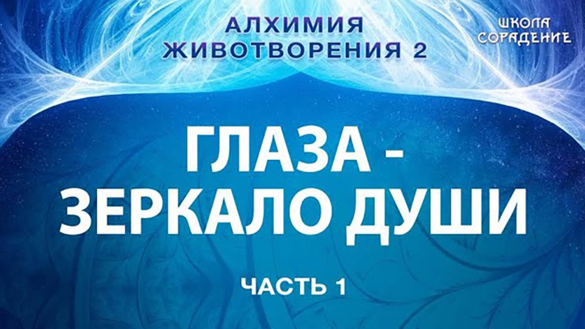Глаза зеркало Души #АлхимияЖивотворения #Гарат #школаСорадение