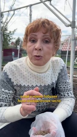 Когда СЕЯТЬ МОРКОВЬ?!