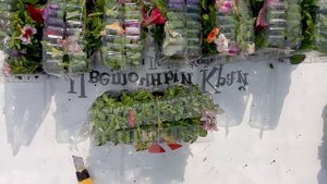 Распаковка вегетативных черенков . Петуния, калибрахоа, фуксия и пр. Апрель 2025.