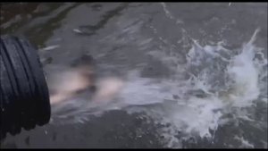 Зарыбление карпом верхнего водоёма 2500 кг. Клёвое место, Лосиный остров.