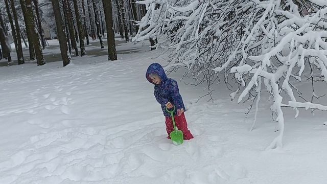 Снежная весна в городе. 29 марта. СПб