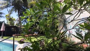 12.ЦЕНЫ В КАФЕ на ШРИ ЛАНКЕ.Где самый вкусный бургер #шриланка #хиккадува #еда #цены #travel #отпус