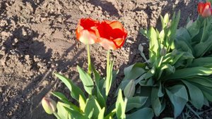 Движ на Пасху.