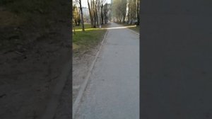 Дворы Коллонтай