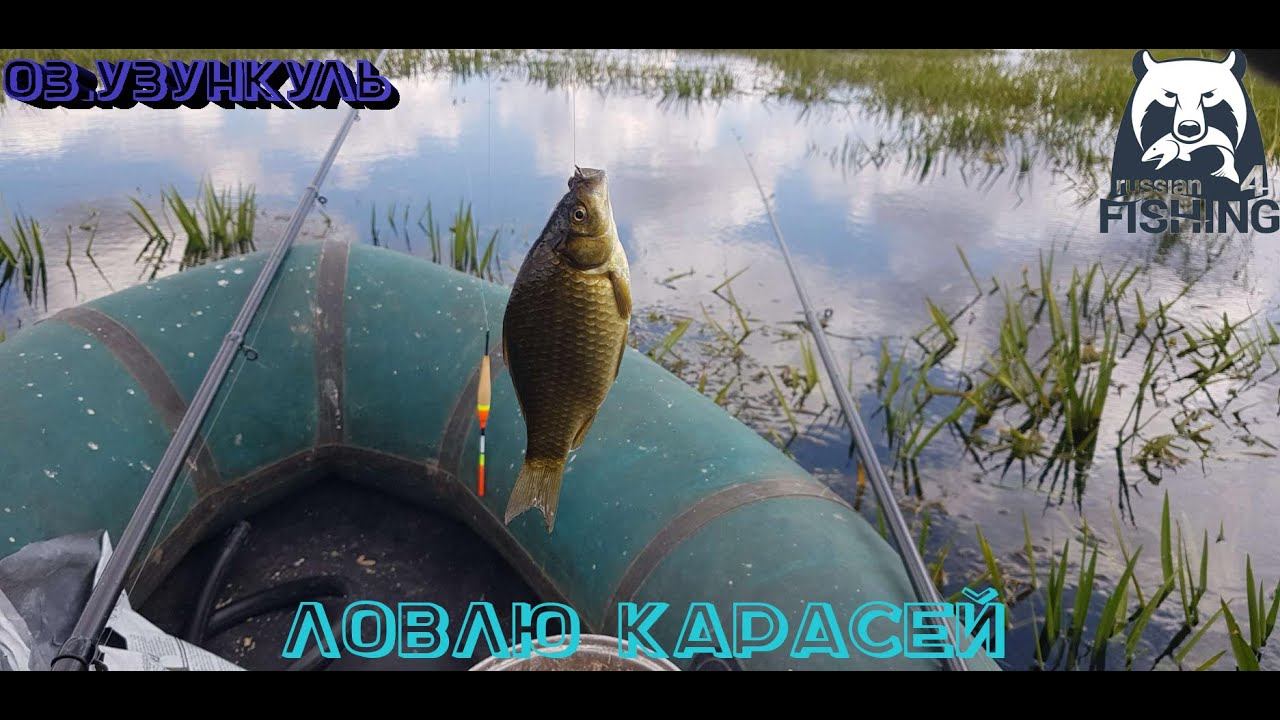 Рыбалка, Наловил карасей на сало!!!