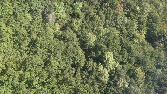 Г. Машук, спуск на фуникулере смотреть онлайн