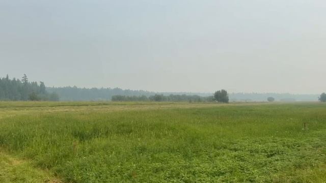 земля