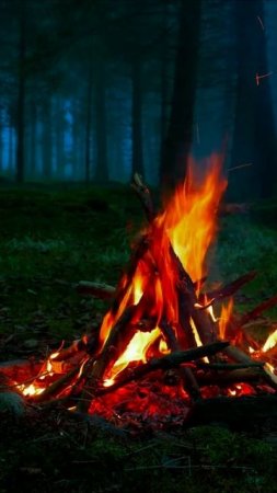 🔥 Костёр в Туманном Лесу у Реки — 100% Аутентичные Звуки Природы для Сна, Релакса и Медитации