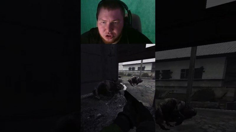Перегон скота | toporplay с помощью #Twitch