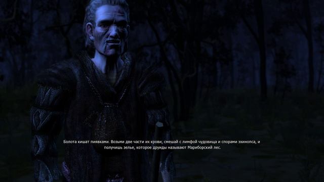 The Witcher Золотое Издание Провожаем Дедушку к Алтарю #15