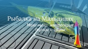 Рыбалка с гостями из отеля Pullman Maldives Maamutaa 5*. Махи-махи, тунцы и голодные акулы