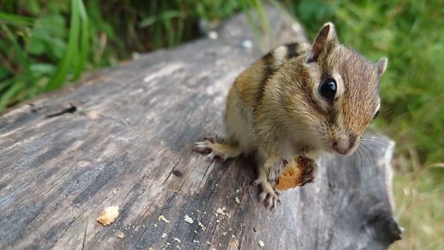 Алханай 2022 смотреть онлайн