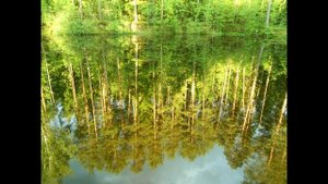 Деревенские обитатели и дед-отшельник