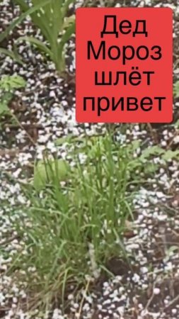 Град 2025.