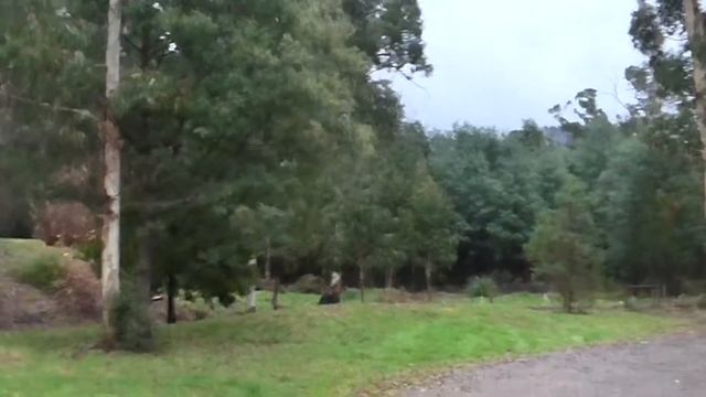 Турбаза по-австралийски. смотреть онлайн