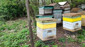 Ничего страшного