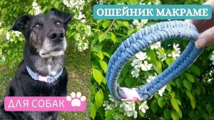 Макраме ОШЕЙНИК. Макраме мастер класс для начинающих