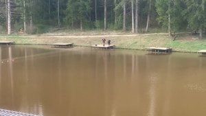 Forest Fishing 27.04.25